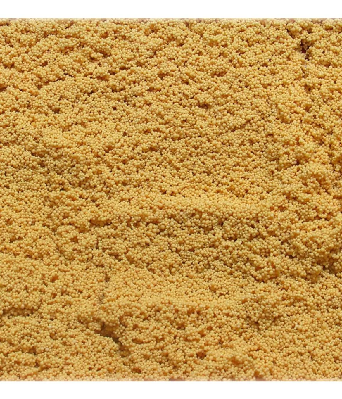 JBL SymecMicro Einwegfiltermatte für Aquarium-Filter
