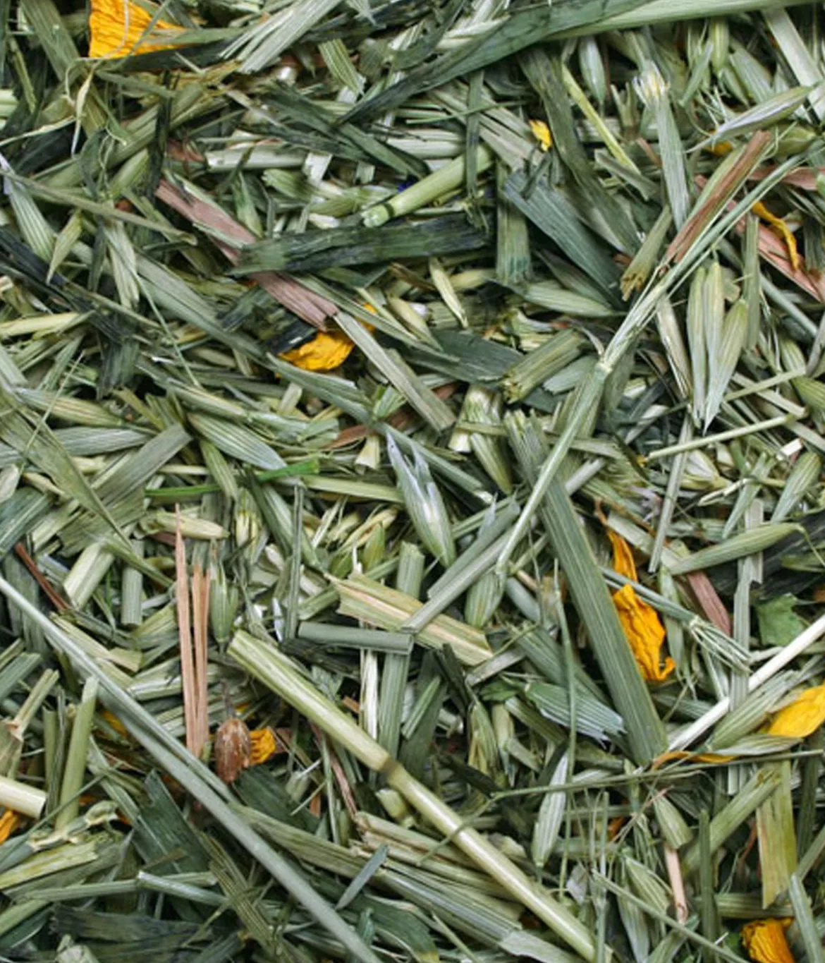 JR FARM Ergänzungsfutter Kornfeld, 100g