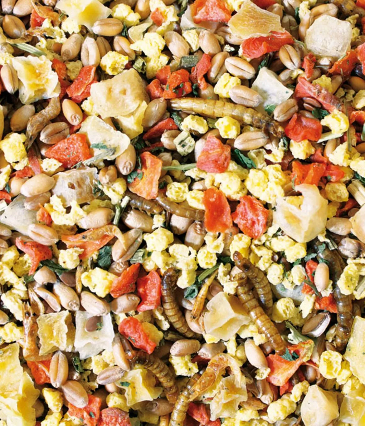 JR FARM Hühnerfutter Basic Food Hühner-Schmaus, 5l