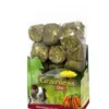 JR FARM Kleintierfutter Grainlees One Meerschweinchen, 950 g