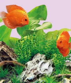 JUWEL® AQUARIUM Aquariumbeleuchtung LED Colour