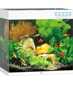 JUWEL® AQUARIUM Lido 120 LED