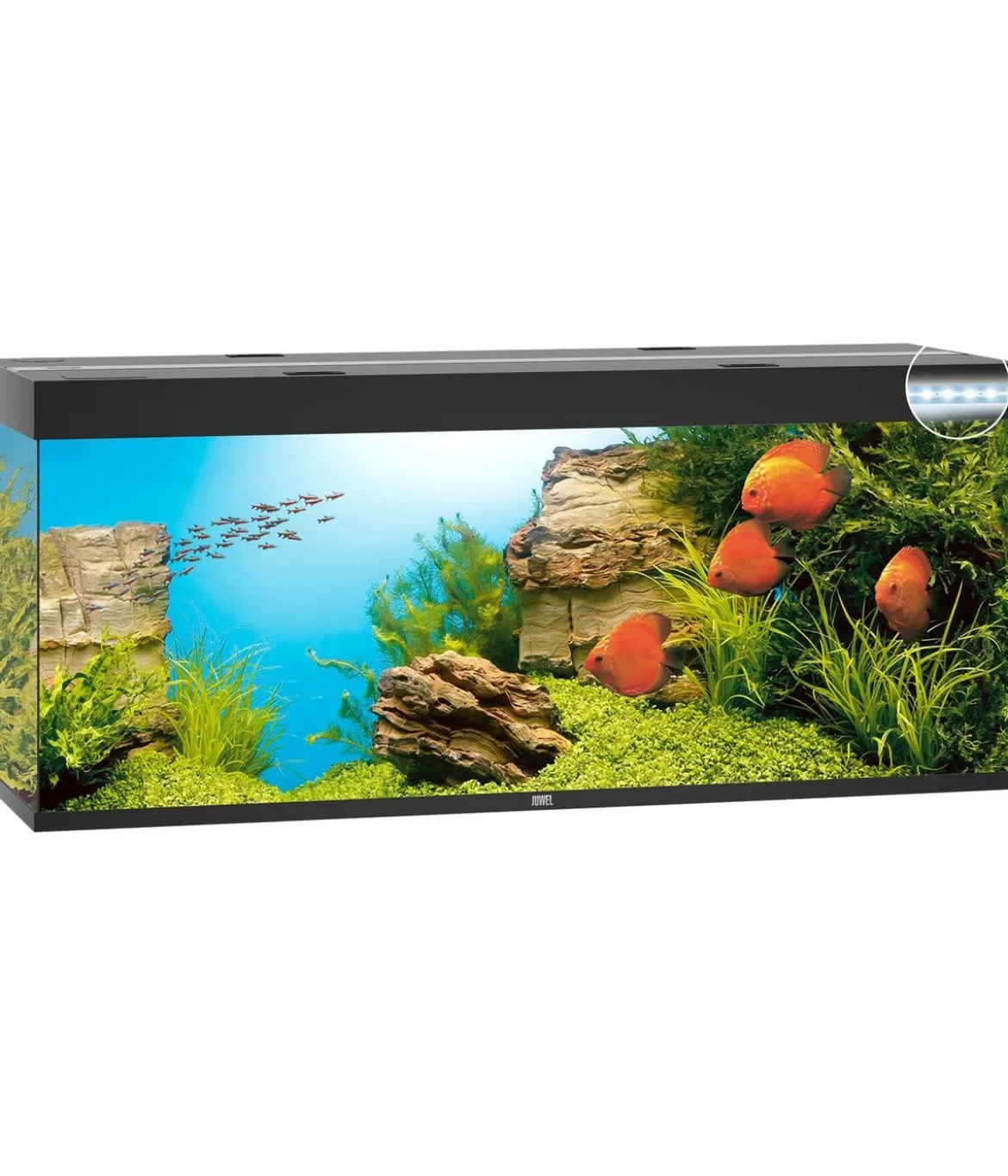 JUWEL® AQUARIUM Rio 450 LED