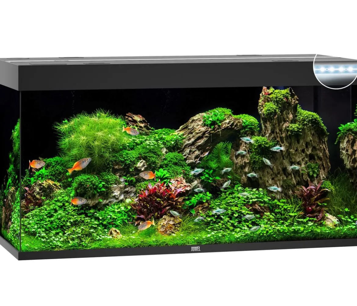 JUWEL® AQUARIUM Rio 350 LED