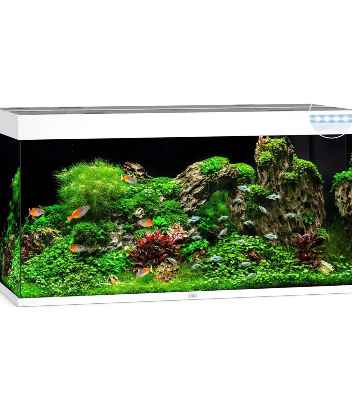 JUWEL® AQUARIUM Rio 350 LED