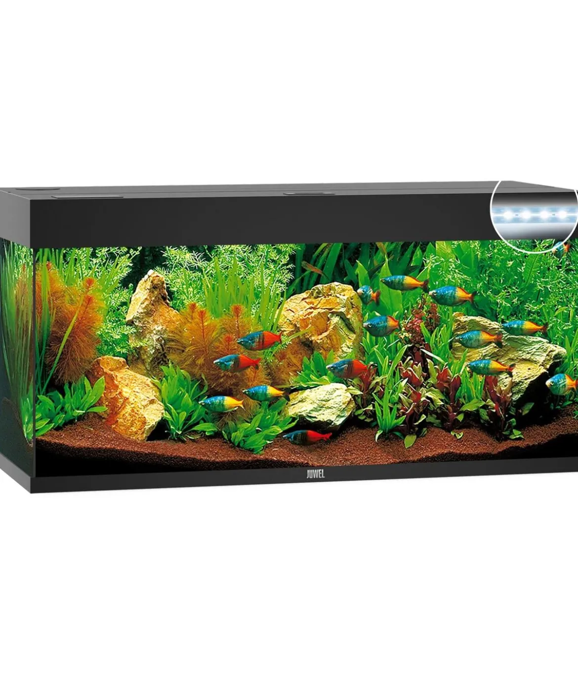 JUWEL® AQUARIUM Rio 240 LED