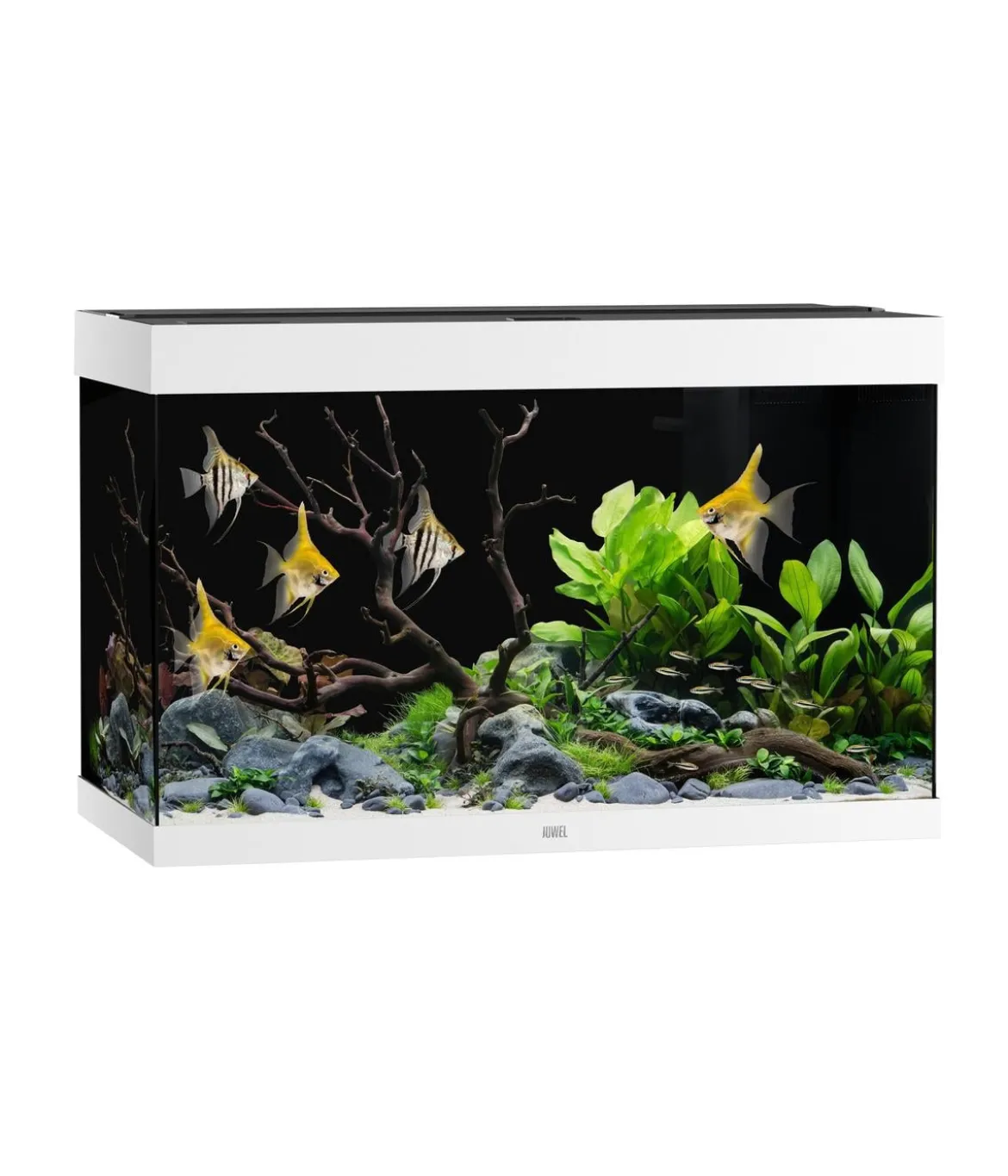 JUWEL® AQUARIUM Rio 290 LED, 290 l