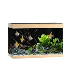 JUWEL® AQUARIUM Rio 290 LED, 290 l