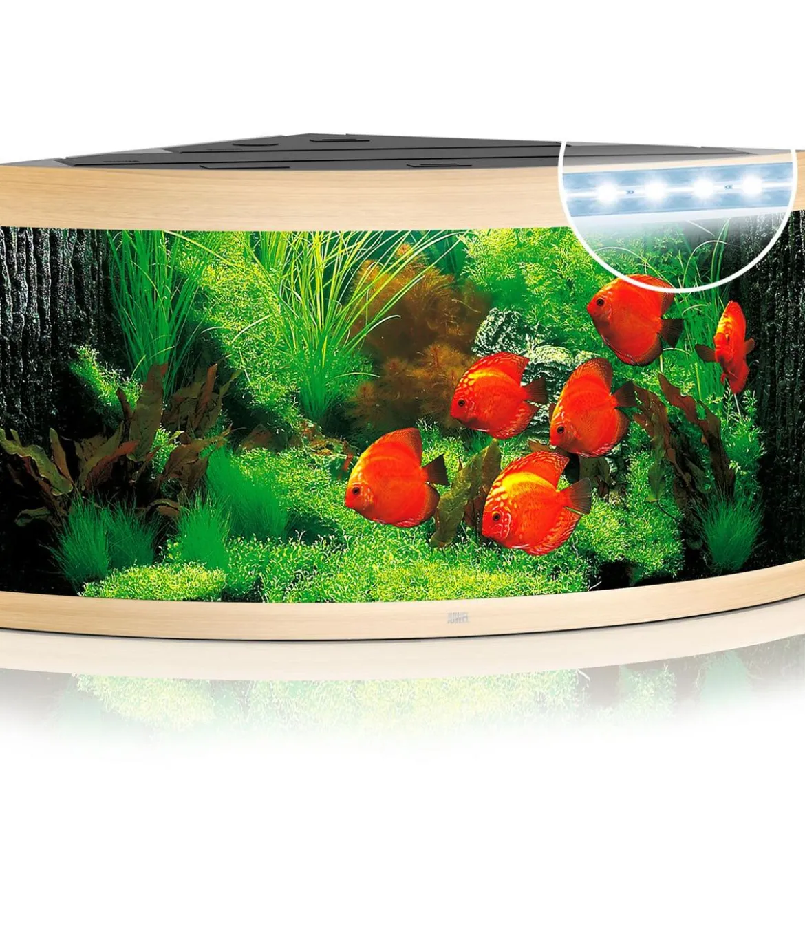 JUWEL® AQUARIUM Trigon 350 LED