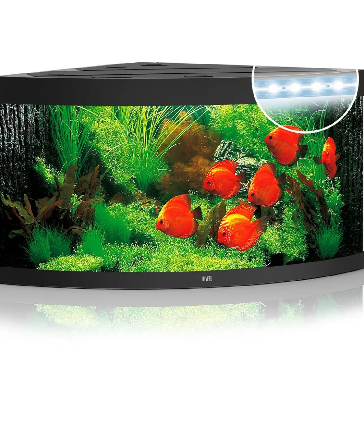JUWEL® AQUARIUM Trigon 350 LED