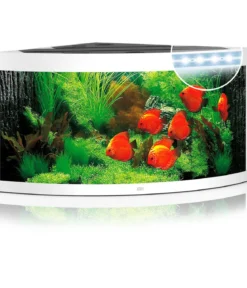 JUWEL® AQUARIUM Trigon 350 LED
