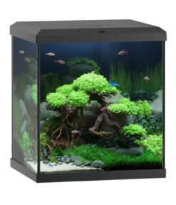 JUWEL® AQUARIUM Vio Cube 54, ca. B41/H47/T36 cm, 54 l