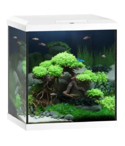 JUWEL® AQUARIUM Vio Cube 54, ca. B41/H47/T36 cm, 54 l