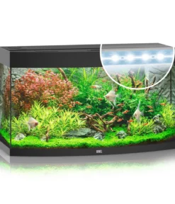 JUWEL® AQUARIUM Vision 180 LED
