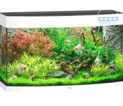 JUWEL® AQUARIUM Vision 180 LED