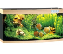 JUWEL® AQUARIUM Vision 260 LED