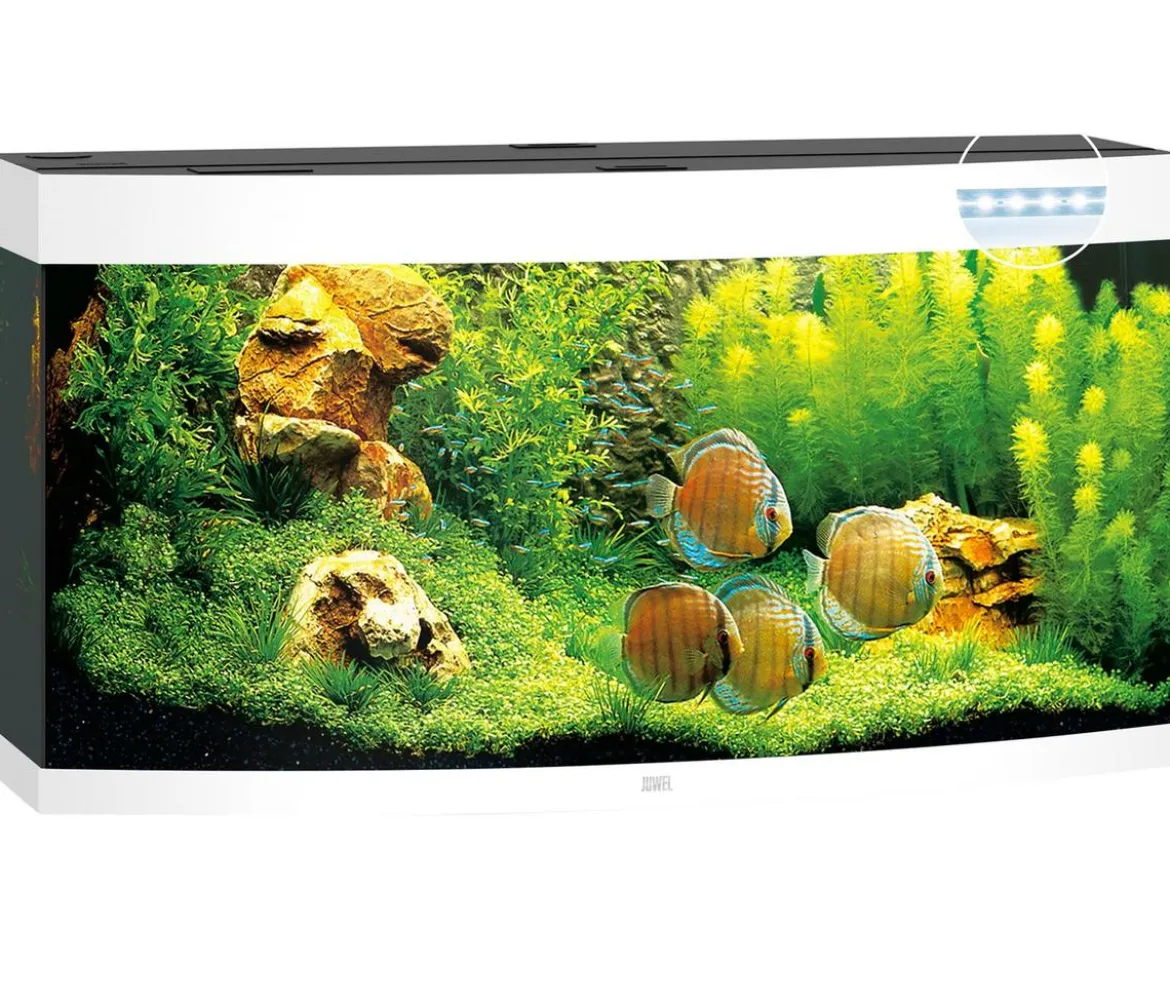JUWEL® AQUARIUM Vision 260 LED