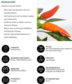 Küchenchili, mild-scharf