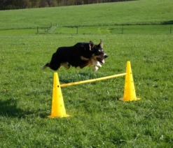 KERBL Hundespielzeug Agility Pylonen-Hürden Set