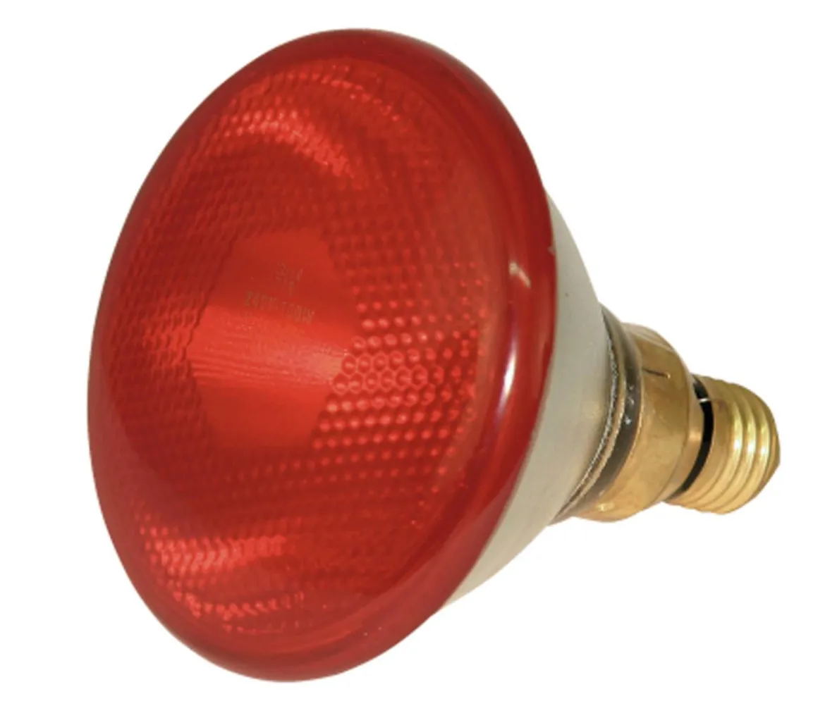 KERBL Infrarot Sparlampe PAR38