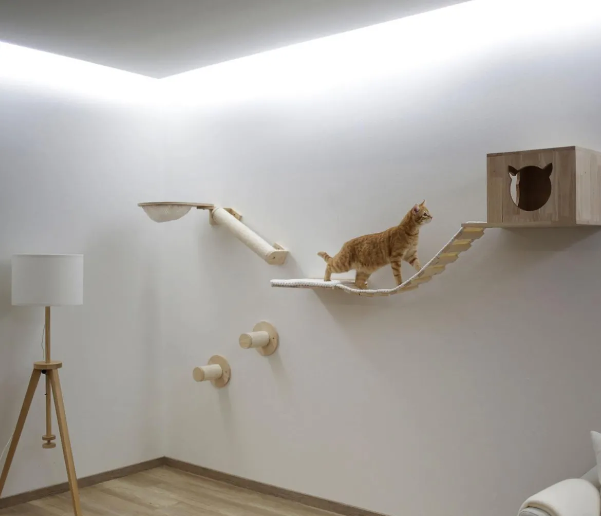 KERBL Pet Kletterwand Anden, 8-teilig