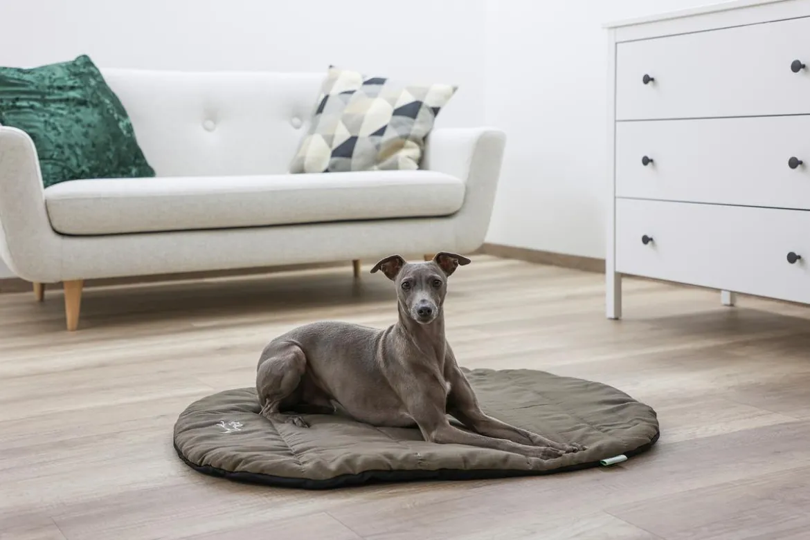 KERBL Reisekissen Traveller, oval, braun, ca. B85/H3/T65 cm