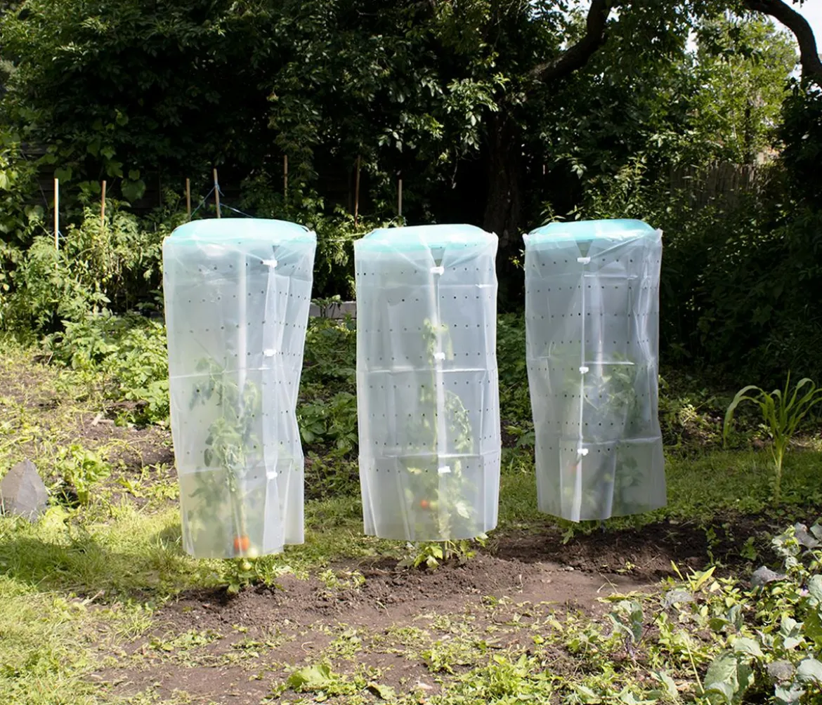 KHW Tomatenhut