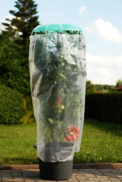 KHW Tomatenhut