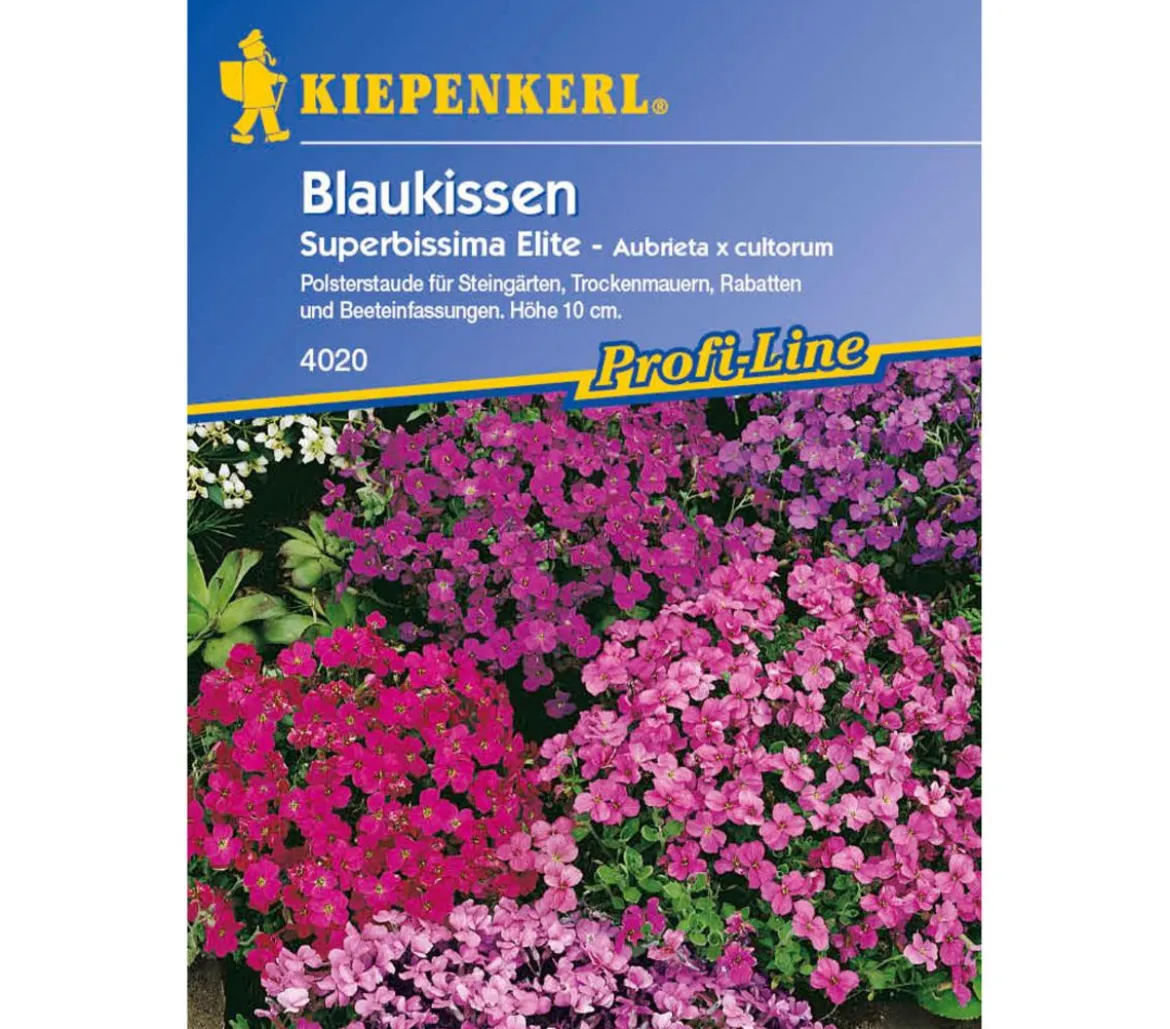 Kiepenkerl Saatgut Blaukissen