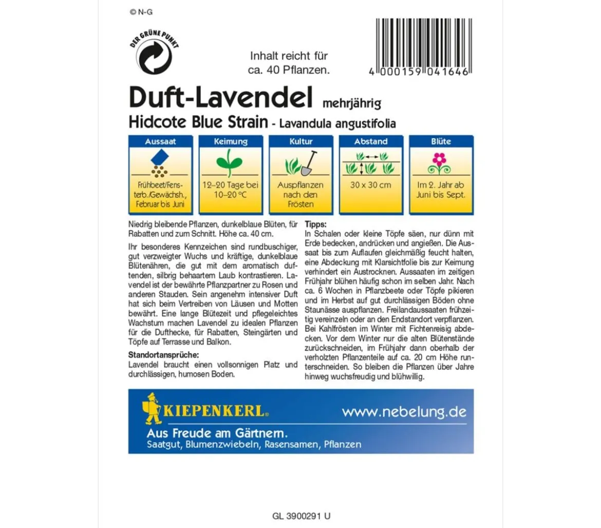 Kiepenkerl Saatgut Duft-Lavendel 'Hidcote Blue Strain'