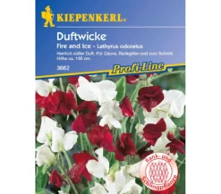 Kiepenkerl Saatgut Duftwicke Fire and Ice