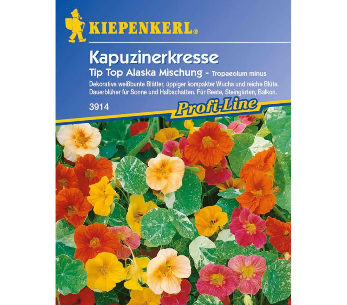 Kiepenkerl Saatgut Kapuzinerkresse Tip Top Alaska Mix