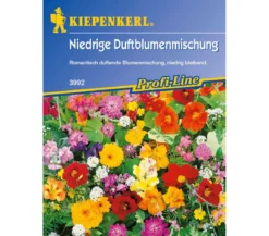 Kiepenkerl Saatgut Niedrige Duftblumenmischung
