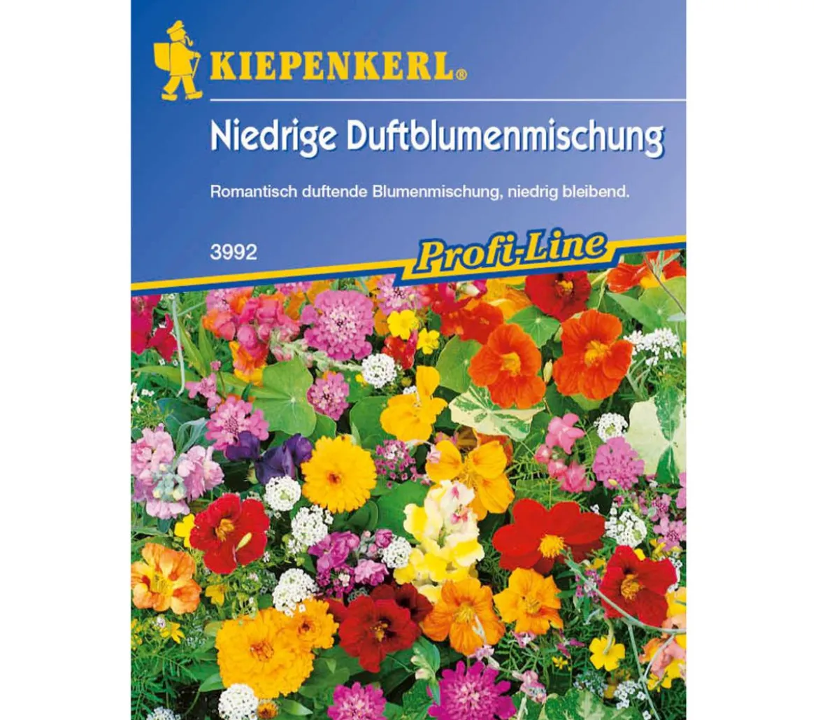 Kiepenkerl Saatgut Niedrige Duftblumenmischung