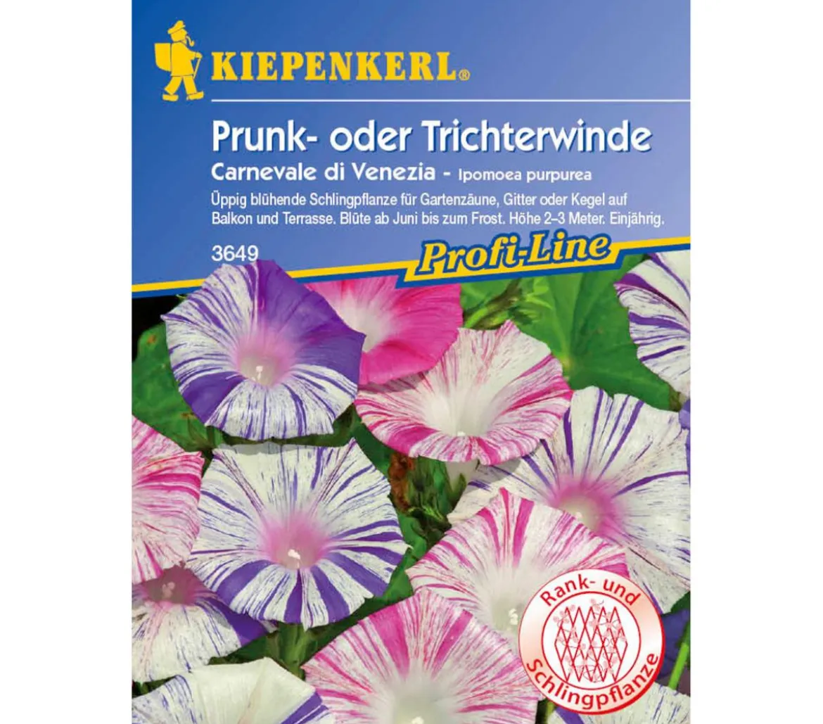 Kiepenkerl Saatgut Prunk- oder Trichterwinde
