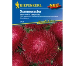 Kiepenkerl Saatgut Sommeraster 'Lady Coral Deep Red'