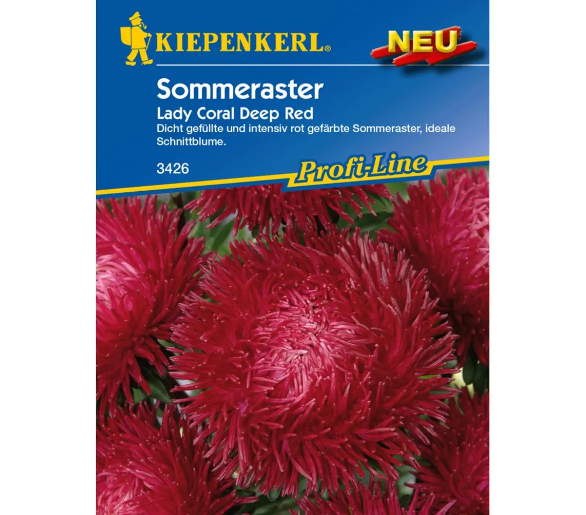 Kiepenkerl Saatgut Sommeraster 'Lady Coral Deep Red'