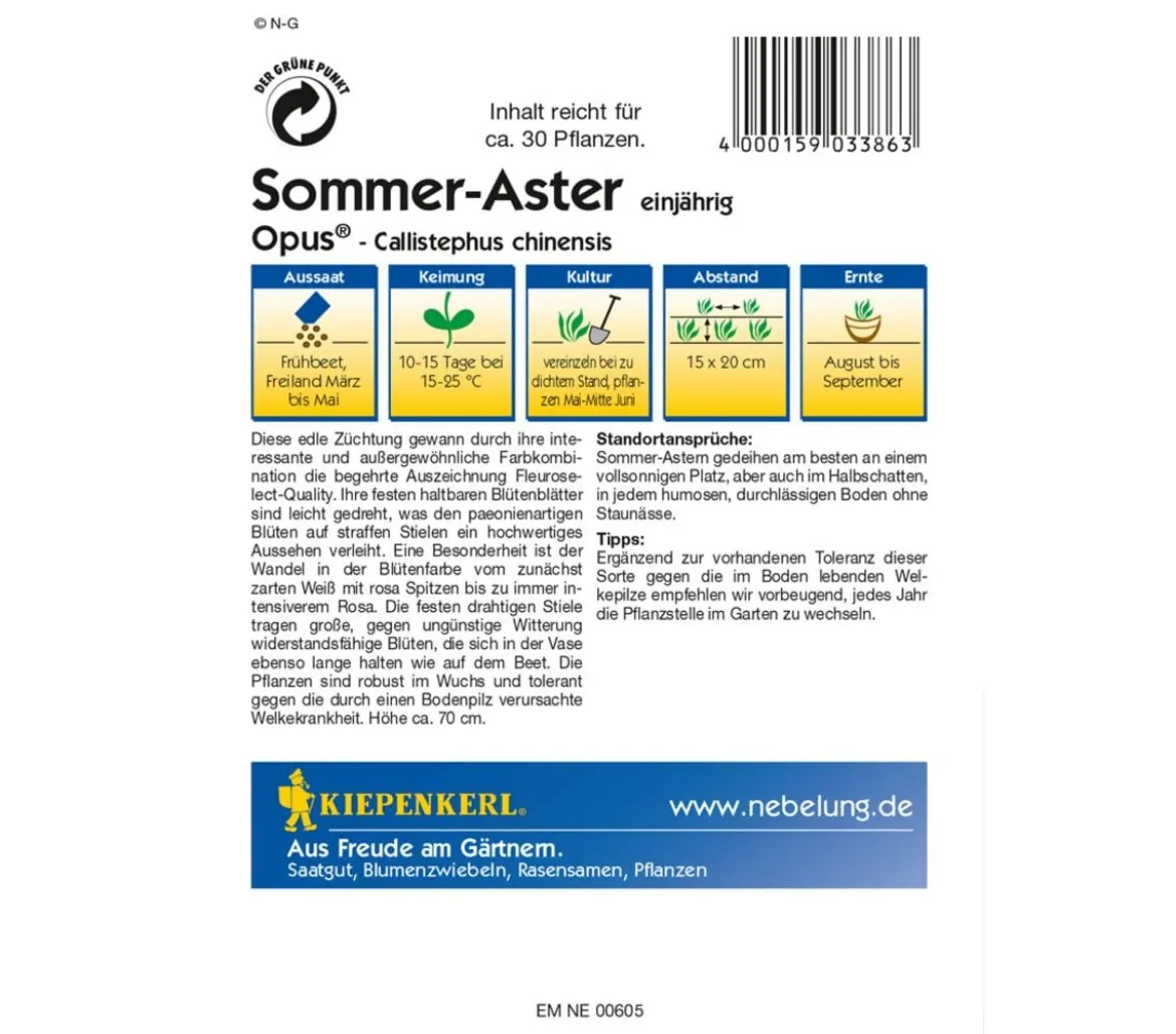 Kiepenkerl Saatgut Sommer-Aster 'Opus'