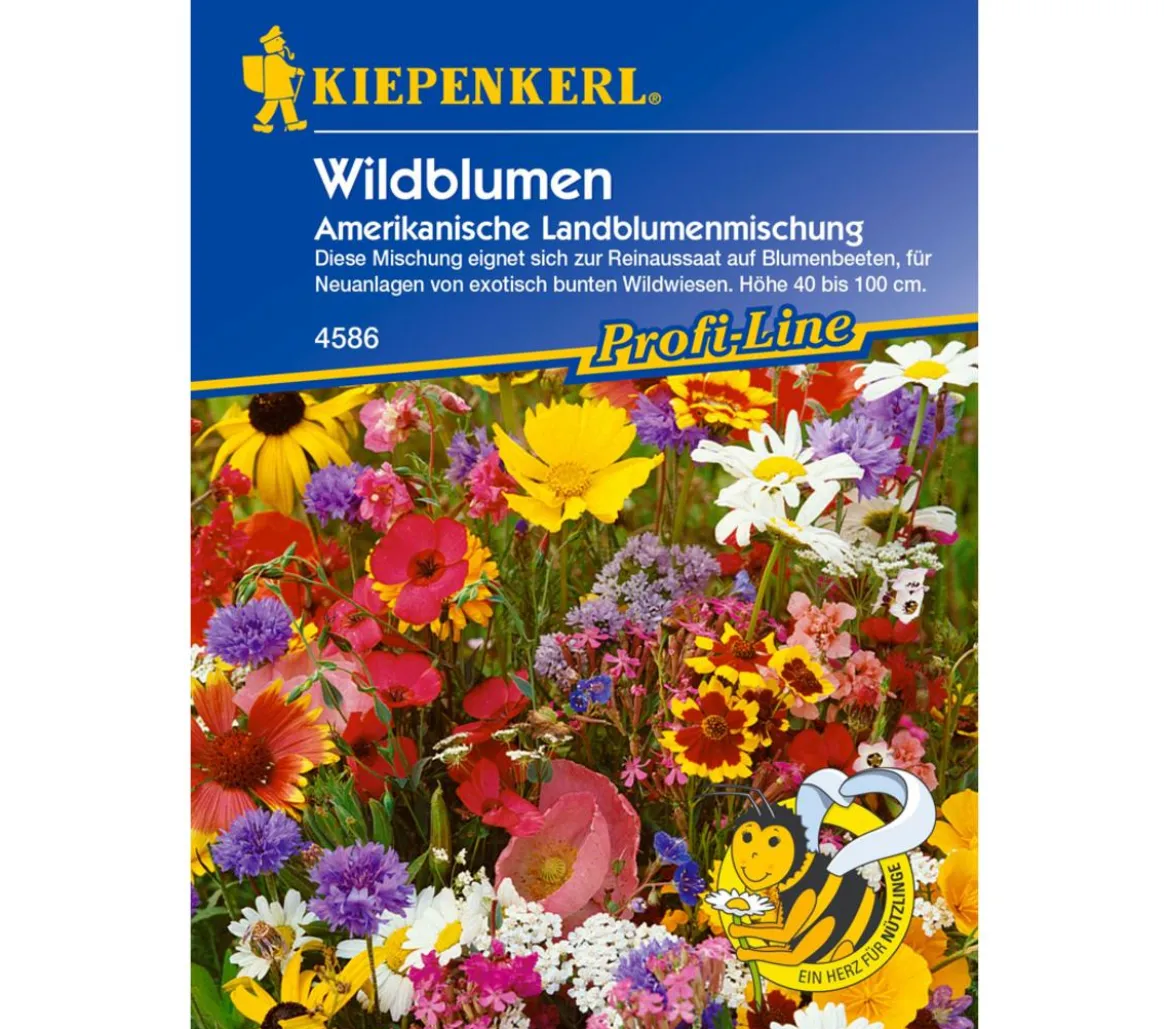 Kiepenkerl Saatgut Wildblumen Amerikanische Landblumenmischung