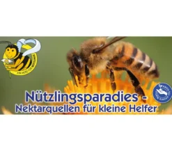 Kiepenkerl Saatgut Wildblumen Amerikanische Landblumenmischung