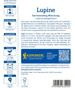 Kiepenkerl Samen Lupine 'Gartenzwerg'