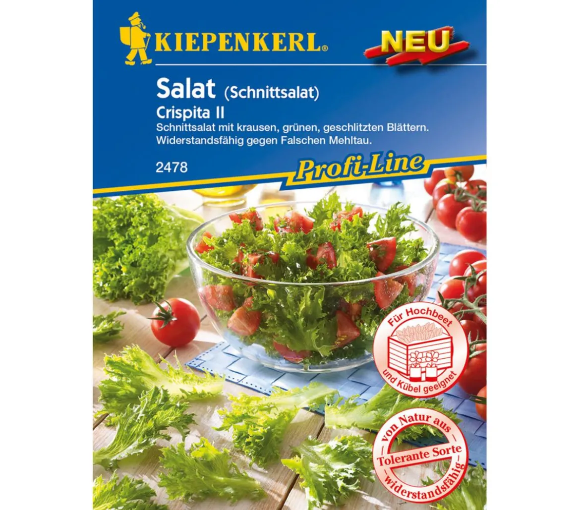 Kiepenkerl Samen Salat 'Crispita II'