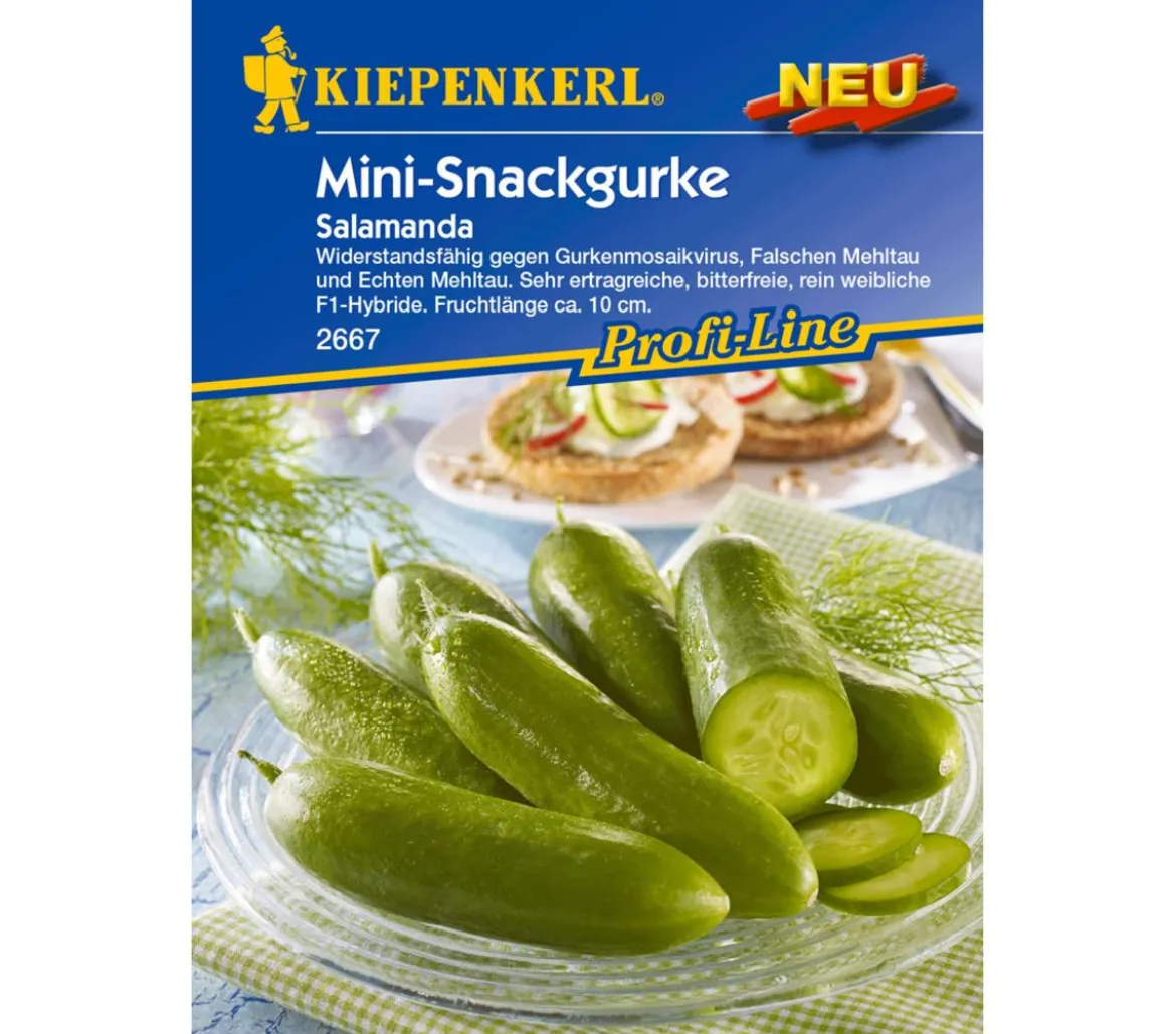 Kiepenkerl Samen Salatgurke 'Salamanda'