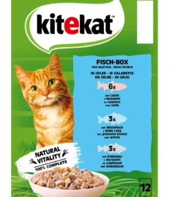 KITEKAT® Nassfutter für Katzen Multipack Fisch-Box in Gelee, Adult, 12 x 85 g