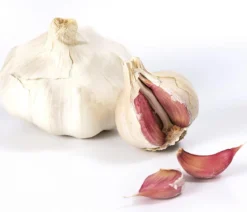 Knoblauch, 6er Schale