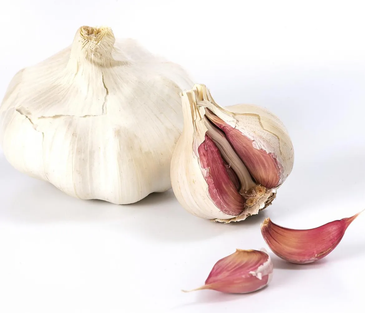 Knoblauch, 6er Schale