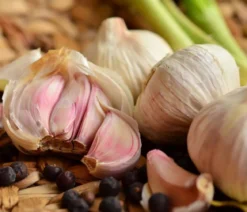 Knoblauch, 6er Schale