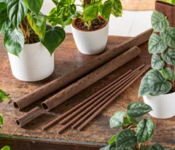 Kratiste-Sticks, 5er Set