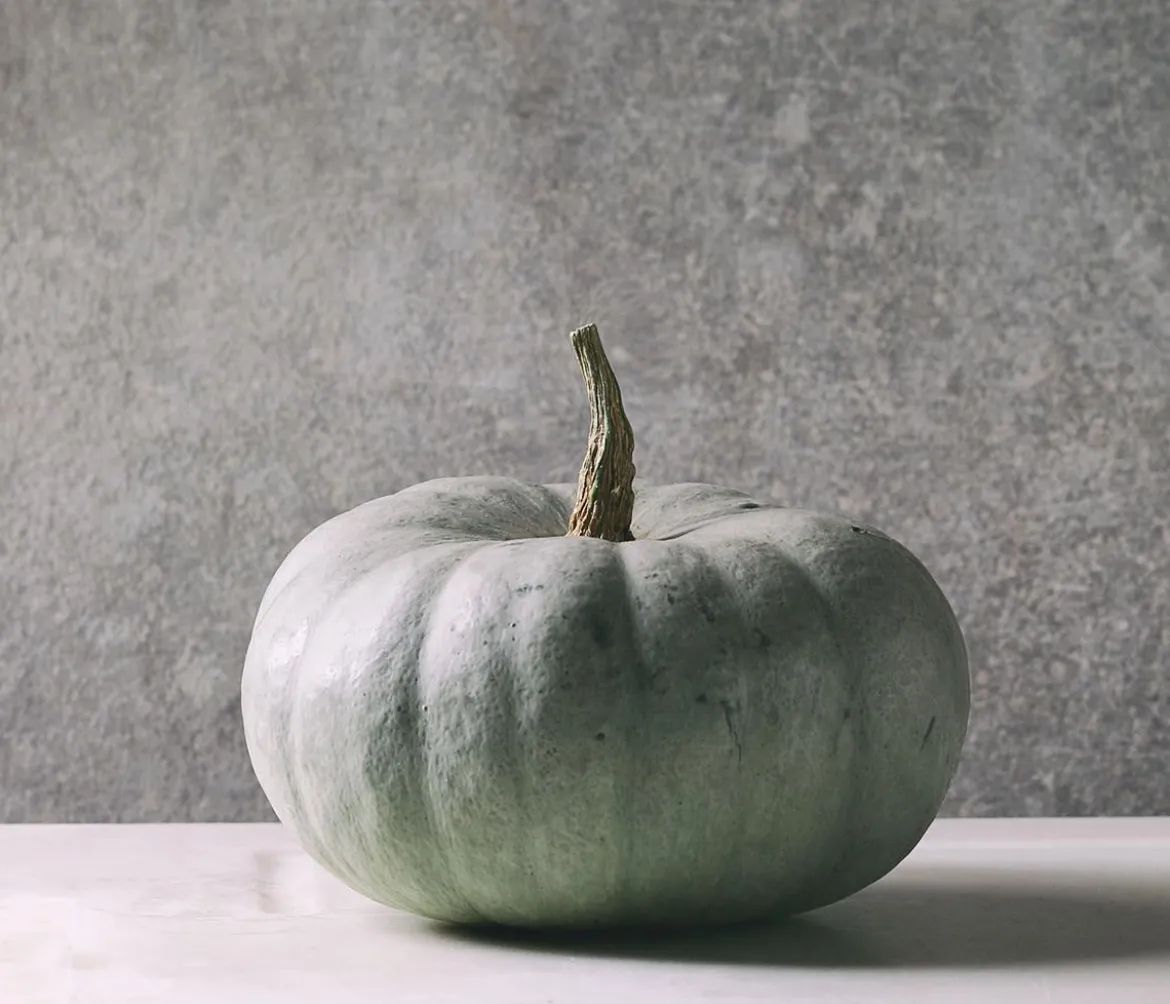 Kürbis 'Sweet Grey', ca. Ø15 cm