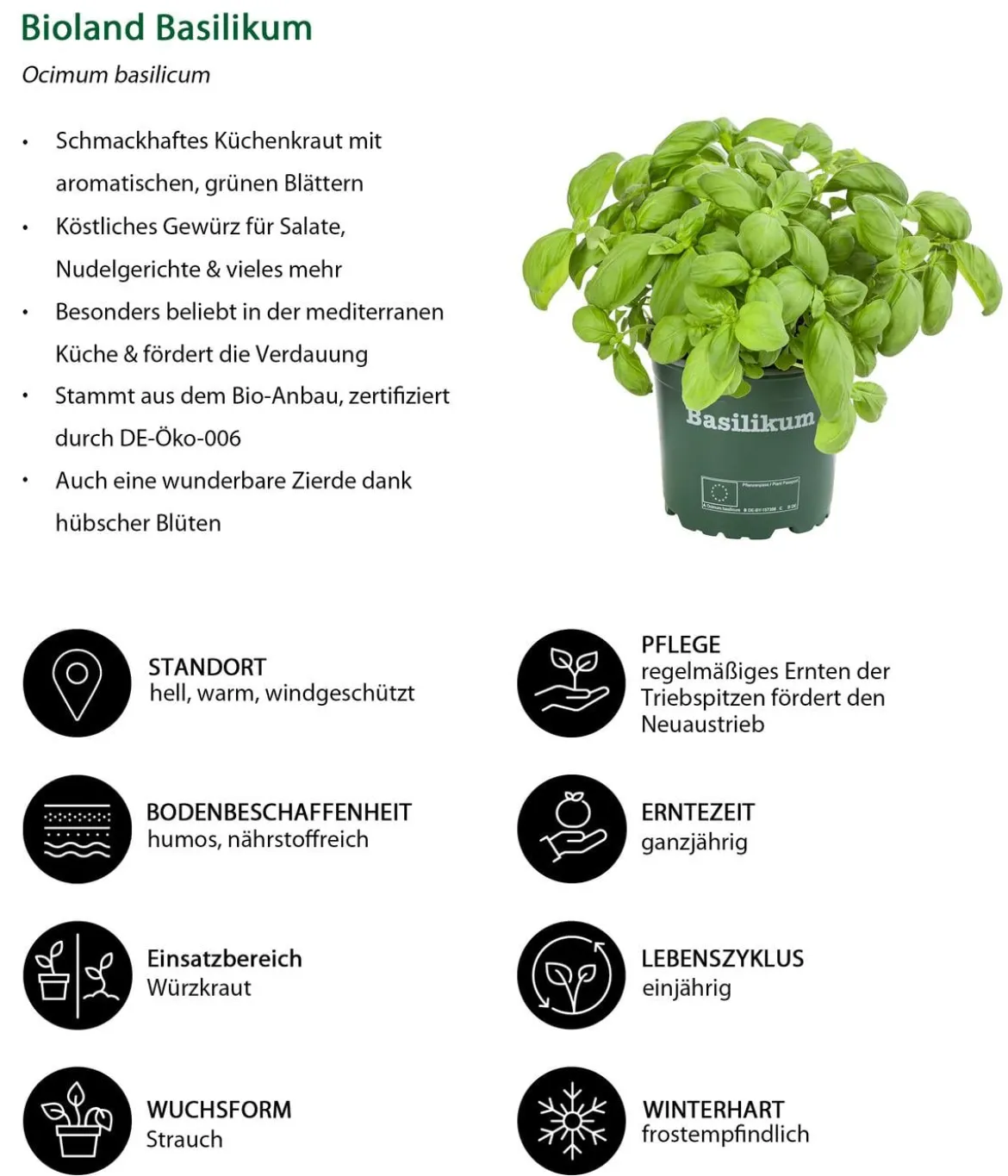 Kräuter-Set Küchenkräuter, 6-teilig